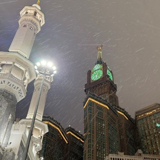 Telegram profile photo for القلب