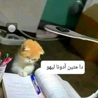 Telegram profile photo for زوولُِ مجٍنوون 🙍♂🏼🦰🧡؛