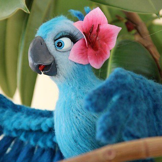 Telegram profile photo for 🌺عروسک بافی آرام🌺