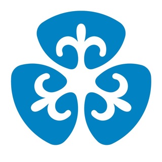 Telegram group profile photo for Кыргыз Республикасын Социалдык фонду
