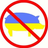 Telegram profile photo for Хохлы пидоры