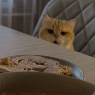 Telegram profile photo for Котики🐈