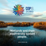 Telegram profile photo for Wetland Zistman