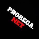 Telegram profile photo for PROBEGA.NET