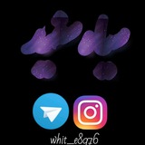 Telegram profile photo for سیاه سفید