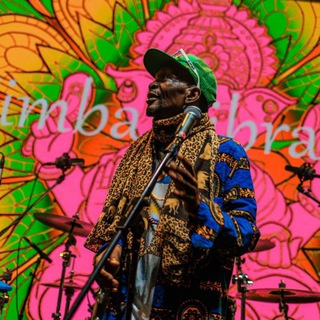 Telegram profile photo for Simba Vibration