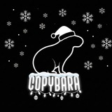 Telegram profile photo for CopyBara | Crypto