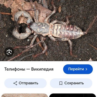Telegram profile photo for Галина Линавна #ГЕРОИСВО