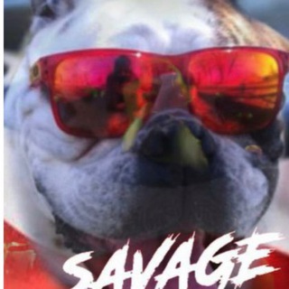 Telegram profile photo for SQvQge Dawg