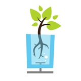 Telegram profile photo for Гроушоп Корень
