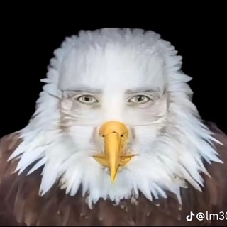 Telegram profile photo for Сашко конал