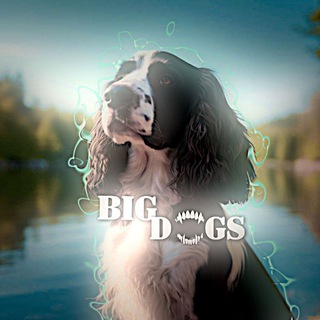 Telegram profile photo for Big.dogs🐕