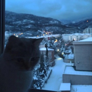 Telegram profile photo for ВОДИТЕЛЬСКОЕ УДОСТОВЕРЕНИЕ | ВОДИТЕЛЬСКИЕ ПРАВА