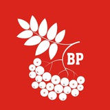 Telegram profile photo for Гроздья Рябинки 🍒