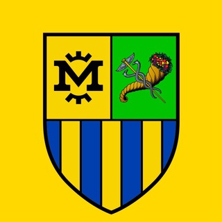 Telegram profile photo for ULTRAS METALIST