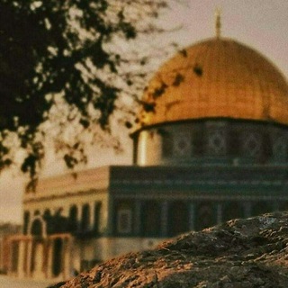Telegram profile photo for حـِڪايَہ_ثـَﯛْرَة