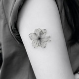 Telegram profile photo for ㅤ ❦.⋆