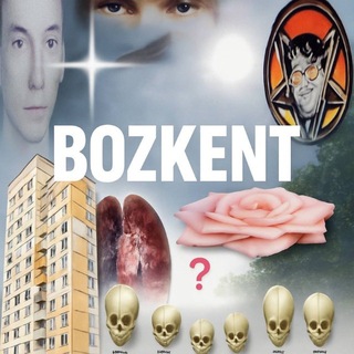 Telegram profile photo for bozkent