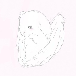 Telegram profile photo for lullaby hall ꫂ᭪݁