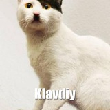 Telegram profile photo for Клавдий воркает