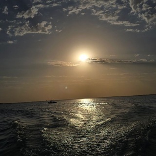 Telegram profile photo for Бех