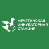 Telegram profile photo for Мечётинская инкубаторная станция