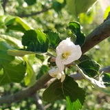 Telegram profile photo for Самые лучшие из лучших!🌷🌱