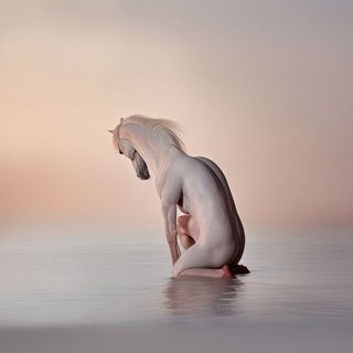 Telegram profile photo for Aufhebung aufhebung, а я маленький такой