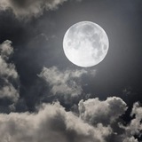 Telegram profile photo for ●ماه من 𝓜𝓨 𝓜𝓞𝓞𝓝○