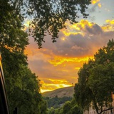 Telegram profile photo for بيت المسلم