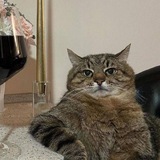 Telegram profile photo for ‽