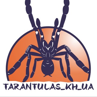 Telegram profile photo for Интересности о пауках (tarantulas_kh_ua)