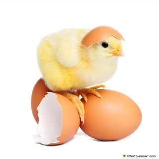 Telegram profile photo for не смешно