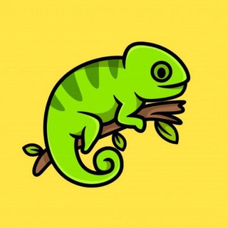 Telegram group profile photo for Tbilisi Animals