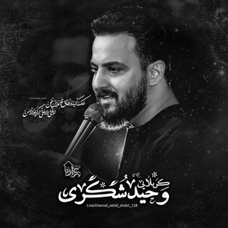 Telegram profile photo for کانال رسمی کربلایی وحیدشکری