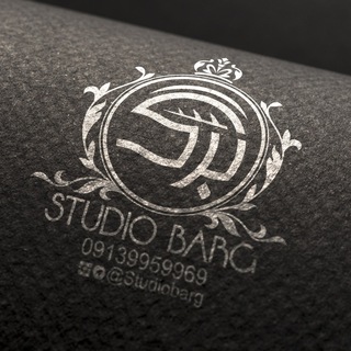 Telegram profile photo for STUDIOBARG