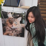 Telegram profile photo for ningbao