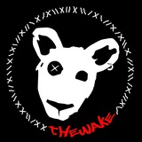 Telegram profile photo for THEWAKE