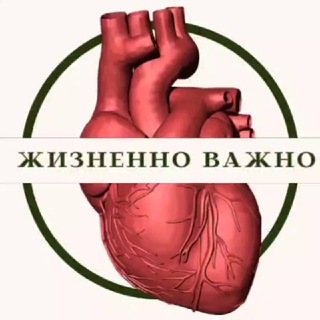 Telegram profile photo for ЖИЗНЕННО ВАЖНЫЙ КАНАЛ 🫀