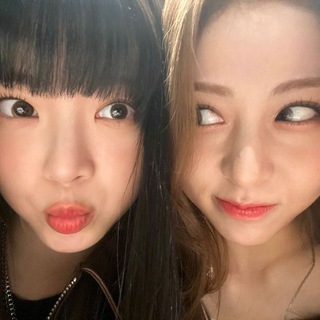 Telegram profile photo for appuist