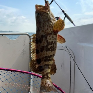 Telegram group profile photo for SG Fishing
