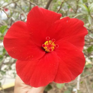 Telegram profile photo for مداد القلب