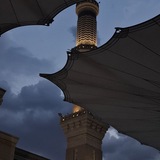 Telegram profile photo for بحث العلم