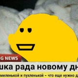 Telegram profile photo for огайо🤍