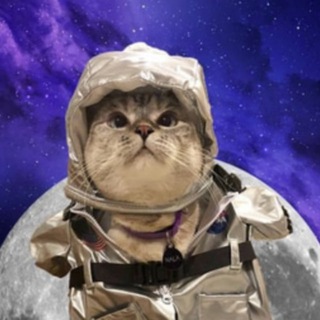 Telegram profile photo for Moon cat - CTO