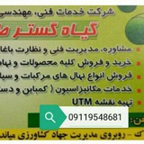 Telegram profile photo for گیاه گسترطبرستان
