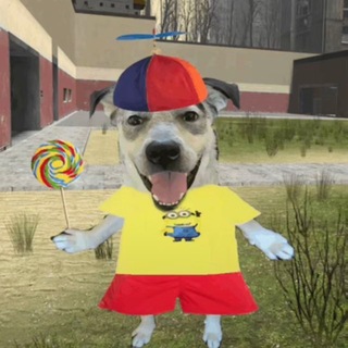 Telegram profile photo for ️