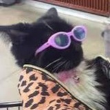 Telegram profile photo for Джин-тоник с огурцом