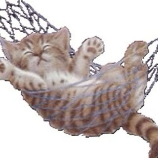 Telegram profile photo for миламилаиバカ