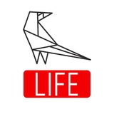 Telegram profile photo for Sorokin.LIFE